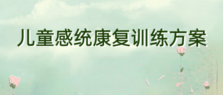 儿童感统康复训练方案
