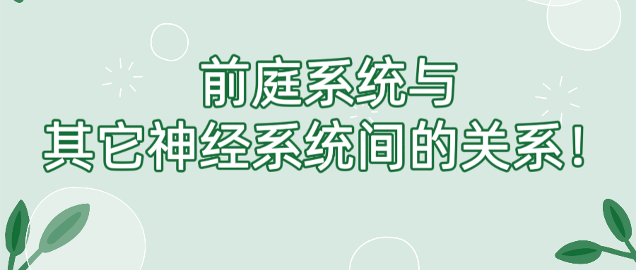 前庭系统与其它神经系统间的关系！